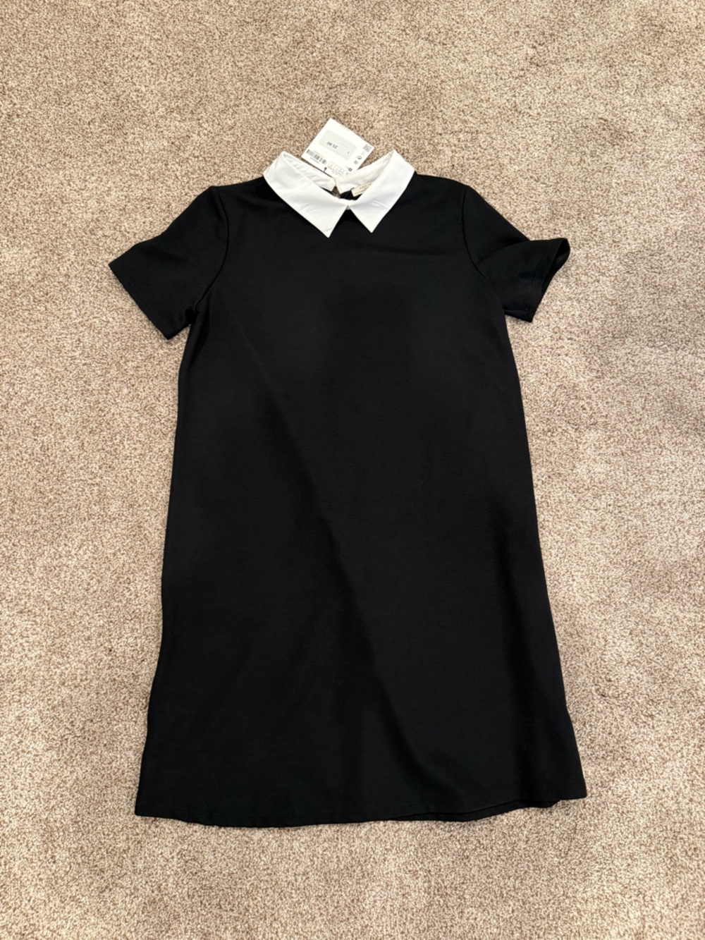Zara Black Dress with White Collar Accent